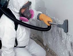 Spotswood, NJ Mold Removal & Remediation Company